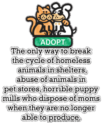 Adopt A Pet Animal image