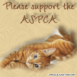 Aspca Cat Animal image