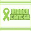 Kidnes Cancer Avatar Kidney Disease image