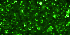Green Spark