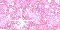 Pink 14