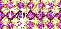 Yellow Multi 18