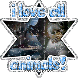 I Love All Animals