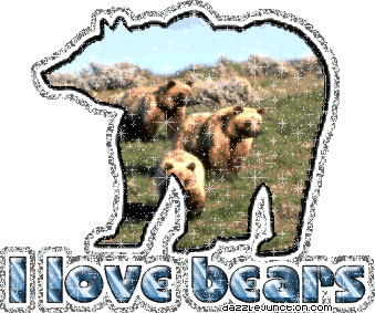 I Love Bears