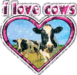 I Love Cows