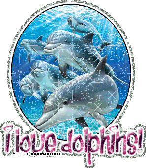 I Love Dolphins