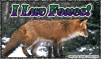 I Love Foxes