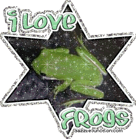 I Love Frogs