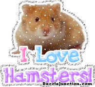 I Love Hamsters