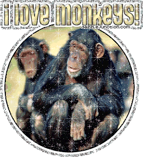 I Love Monkeys