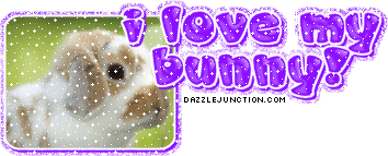I Love My Bunny
