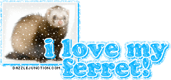 I Love My Ferret