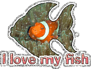 I Love My Fish
