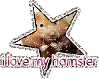 I Love My Hamster