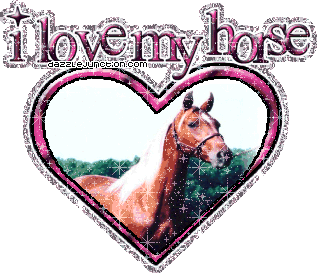 I Love My Horse