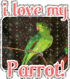 I Love My Parrot