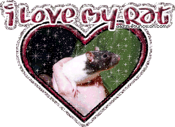 I Love My Rat