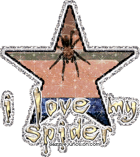 I Love My Spider