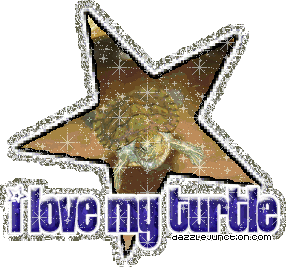 I Love My Turtle