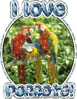 I Love Parrots Animal Lovers image