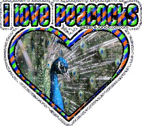 I Love Peacocks Animal Lovers image