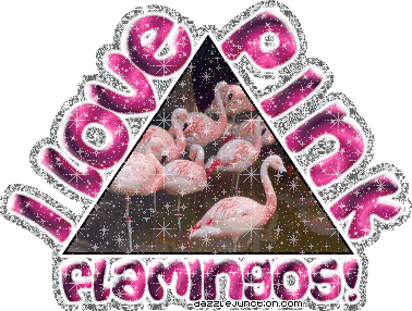 I Love Pink Flamingos Animal Lovers image