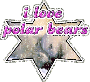 I Love Polarbears Animal Lovers image