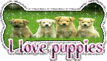 I Love Puppies Animal Lovers image