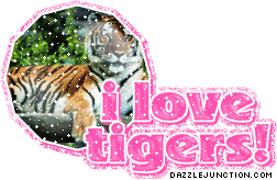 I Love Tigers Animal Lovers image
