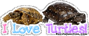 I Love Turtles Animal Lovers image