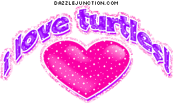 I Love Turtles Animal Lovers image