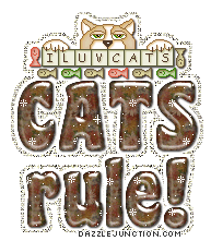 Cats Rule Cat Lovers image