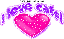 I Love Cats Cat Lovers image