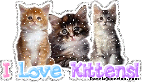 I Love Kittens Cat Lovers image