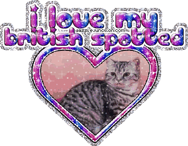 I Love My Britishspotted Cat Lovers image