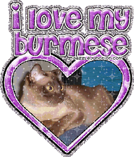 I Love My Burmese Cat Lovers image
