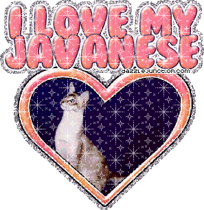 I Love My Javanese Cat Lovers image
