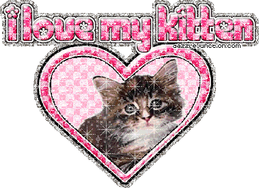 I Love My Kitten Cat Lovers image