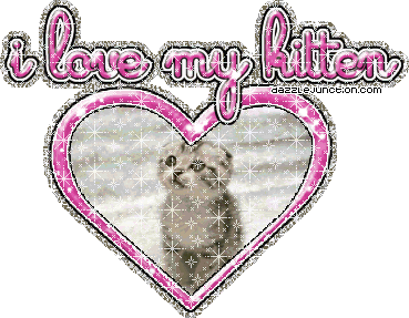 I Love My Kitten Cat Lovers image