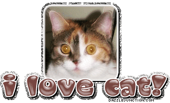 I Love My Love Cat Cat Lovers image