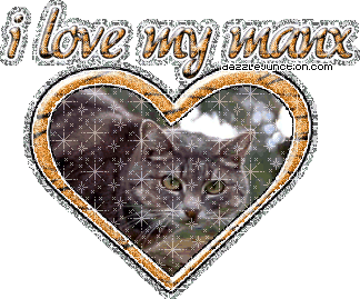 I Love My Manx Cat Lovers image