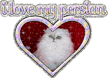 I Love My Persian Cat Lovers image