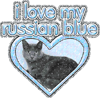 I Love My Russianblue Cat Lovers image