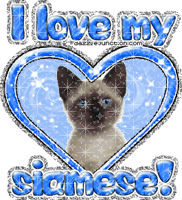 I Love My Siamese Cat Lovers image