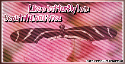 Beautiful Free Butterfly Cute Animals image