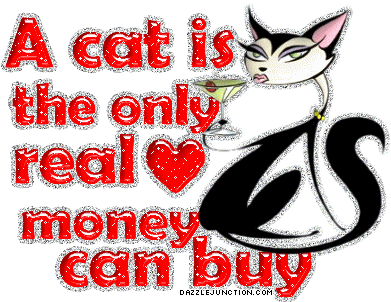 Cat Love