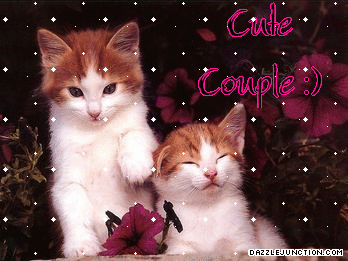 Cute Couple