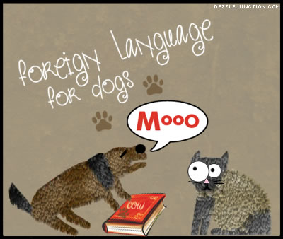Dog Mooo