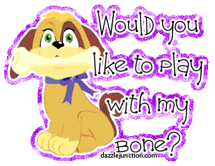 Dog Play Bone