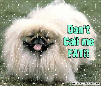 Dont Call Me Fat